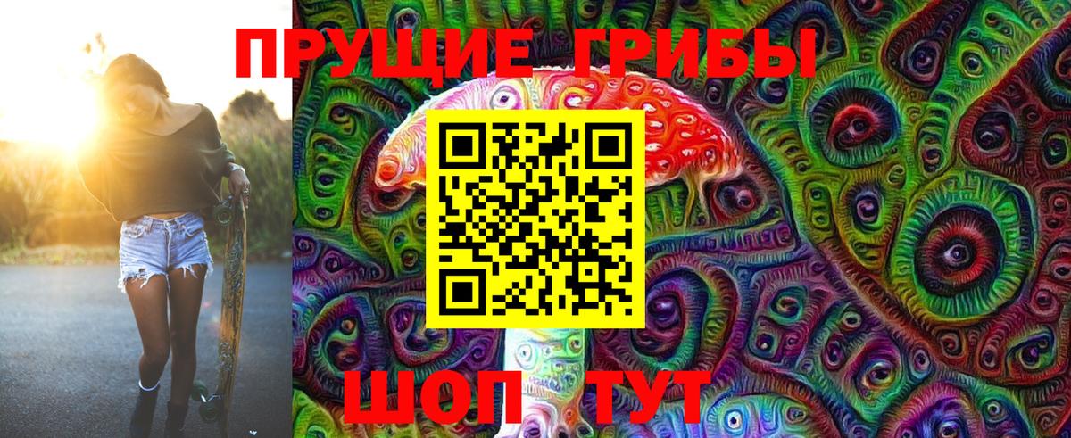 Галлюциногенные грибы Psilocybe Лангепас