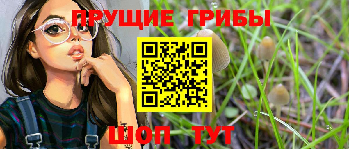 Лангепас  Псилоцибиновые грибы прущие грибы  Вход с VPN 